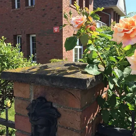 Rose House بيت ضيافة