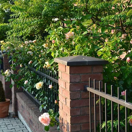 Rose House * Prague