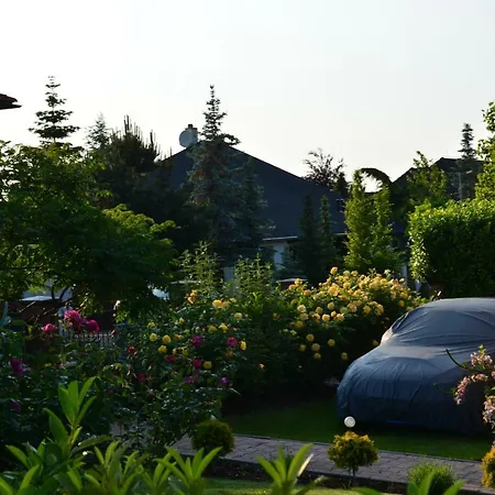 Pensjonat Rose House *