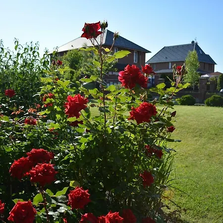 بيت ضيافة Rose House *